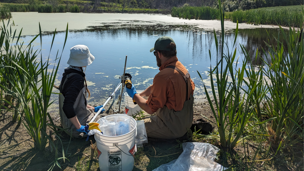Two scientists by a pond