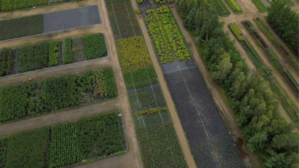 Fields seen from the sky