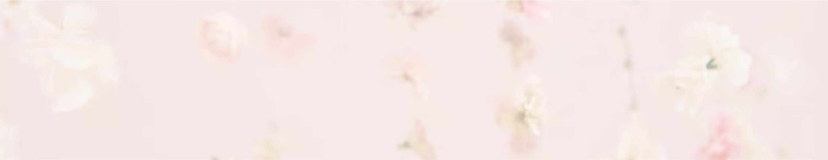 FOOTER-BG-DSKT.jpg