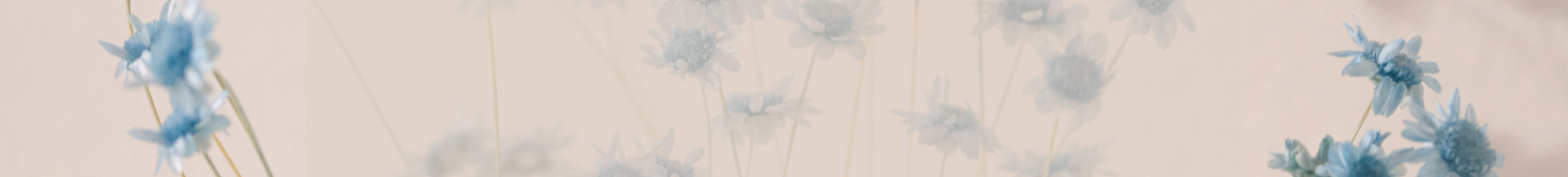 perks-background-dskt