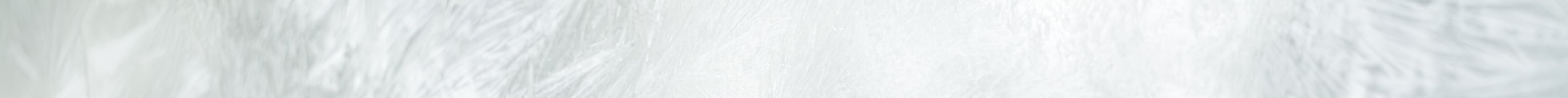 cyber-monday-tb-dskt-ext