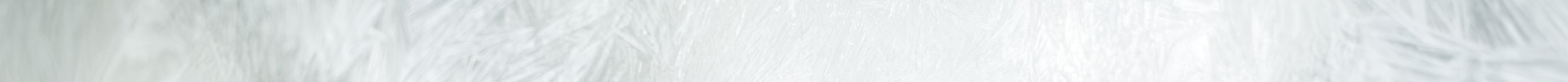 cyber-monday-tb-dskt