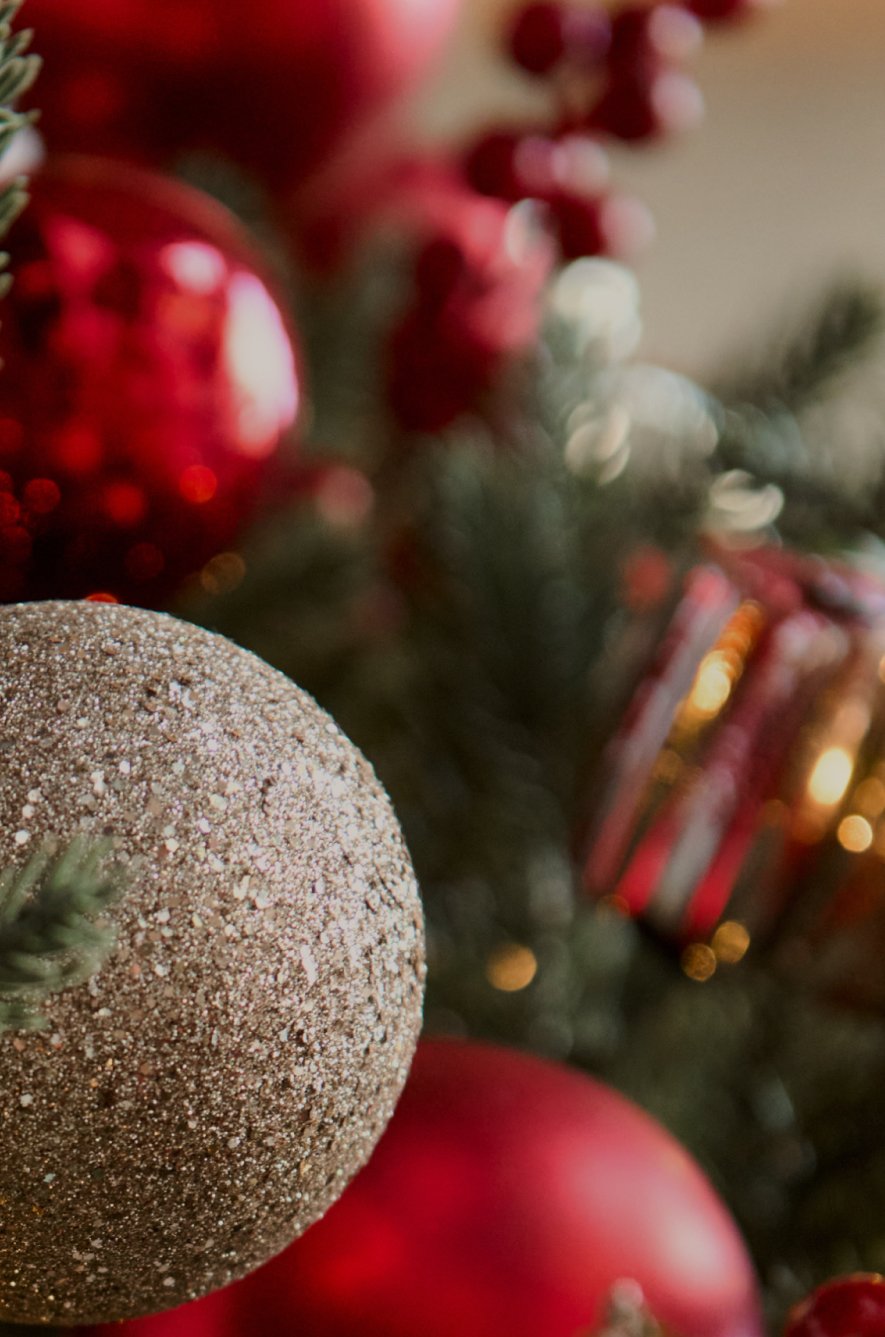 festive-dskt