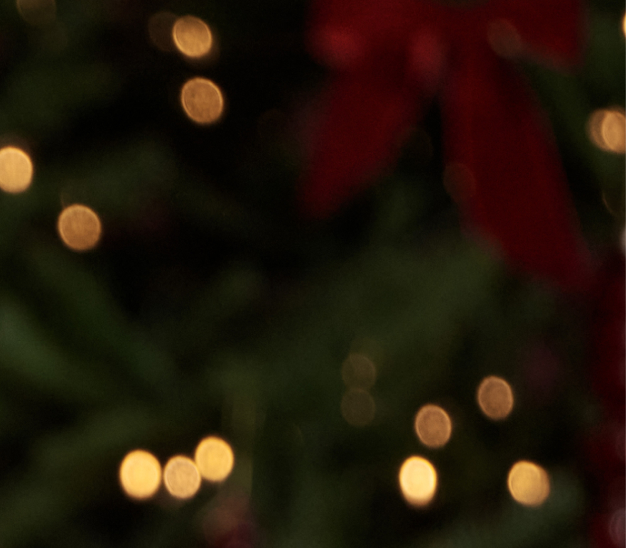 Promotion with a blurred Christmas tree background