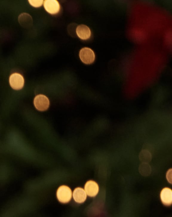Promotion with a blurred Christmas tree background