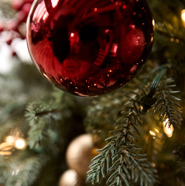 Celebrate the Season