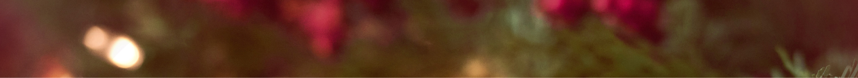 Blurred Christmas tree background