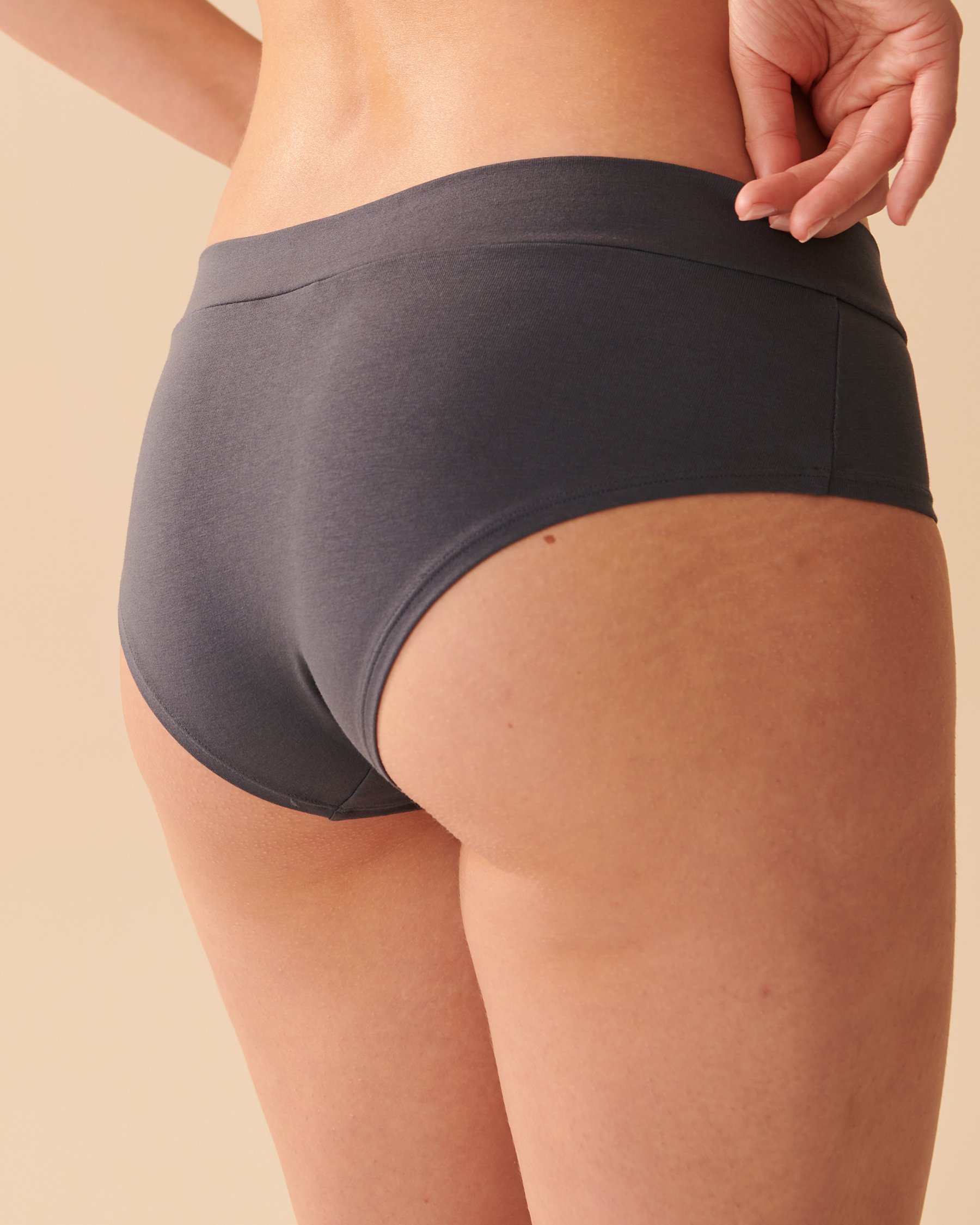 LA VIE EN ROSE Cotton Hiphugger Panty Ombre blue 20100362 - View2