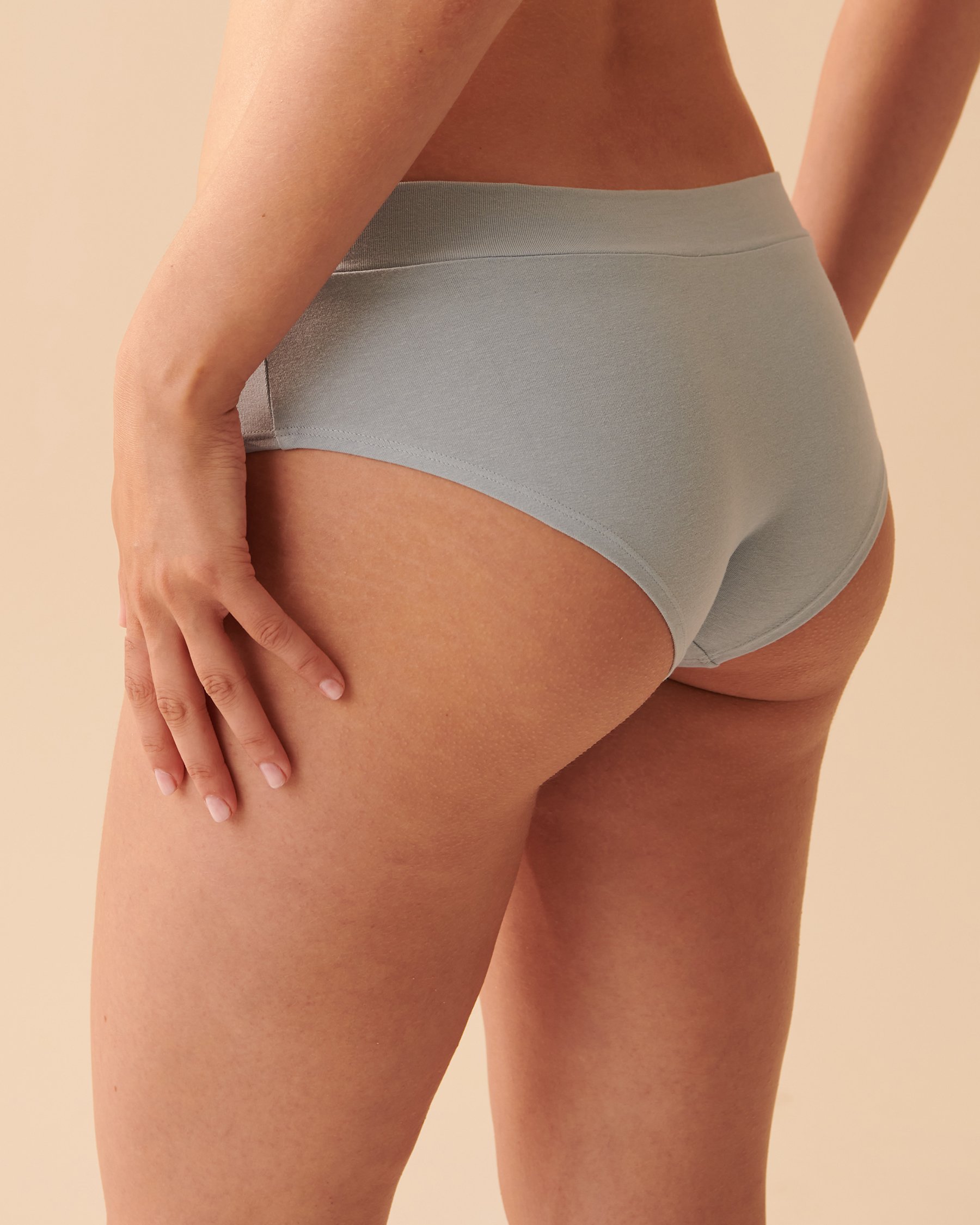 LA VIE EN ROSE Cotton Hiphugger Panty Blue fog 20100362 - View2
