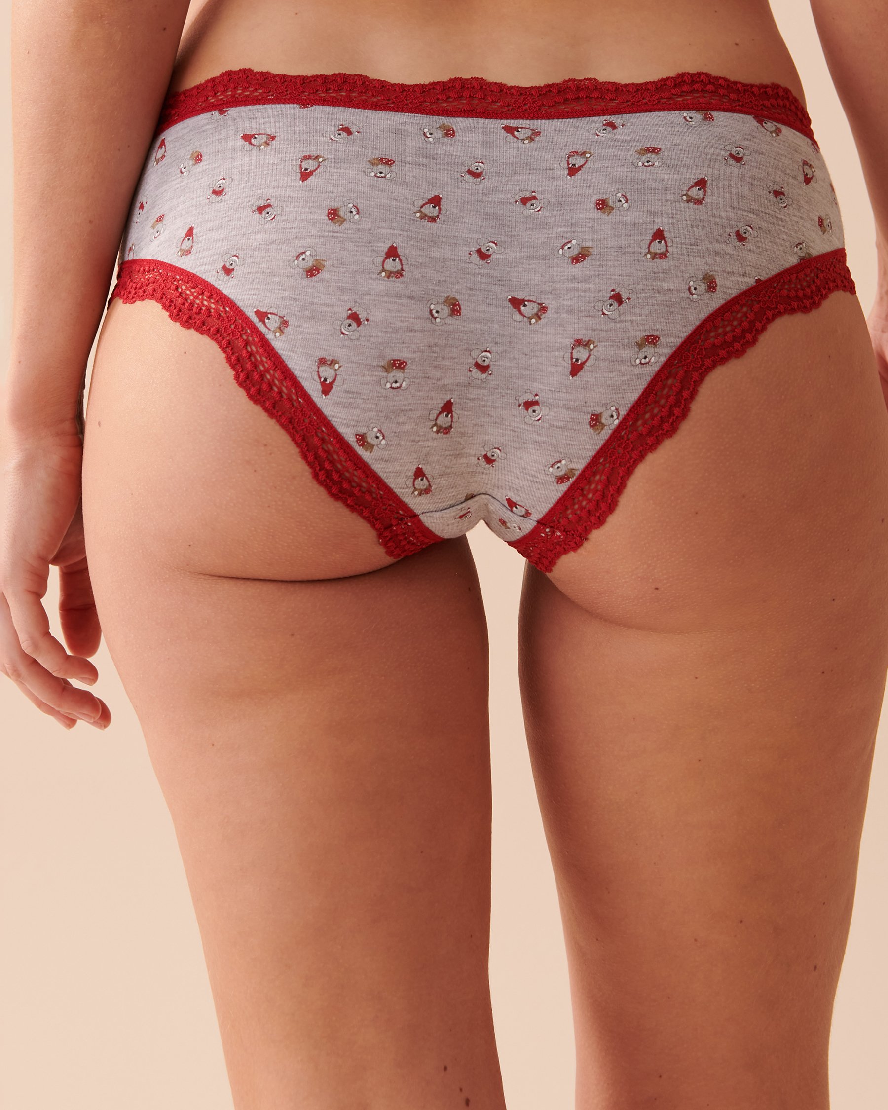 LA VIE EN ROSE Modal and Lace Trim Hiphugger Panty Mouse Family 20100381 - View2