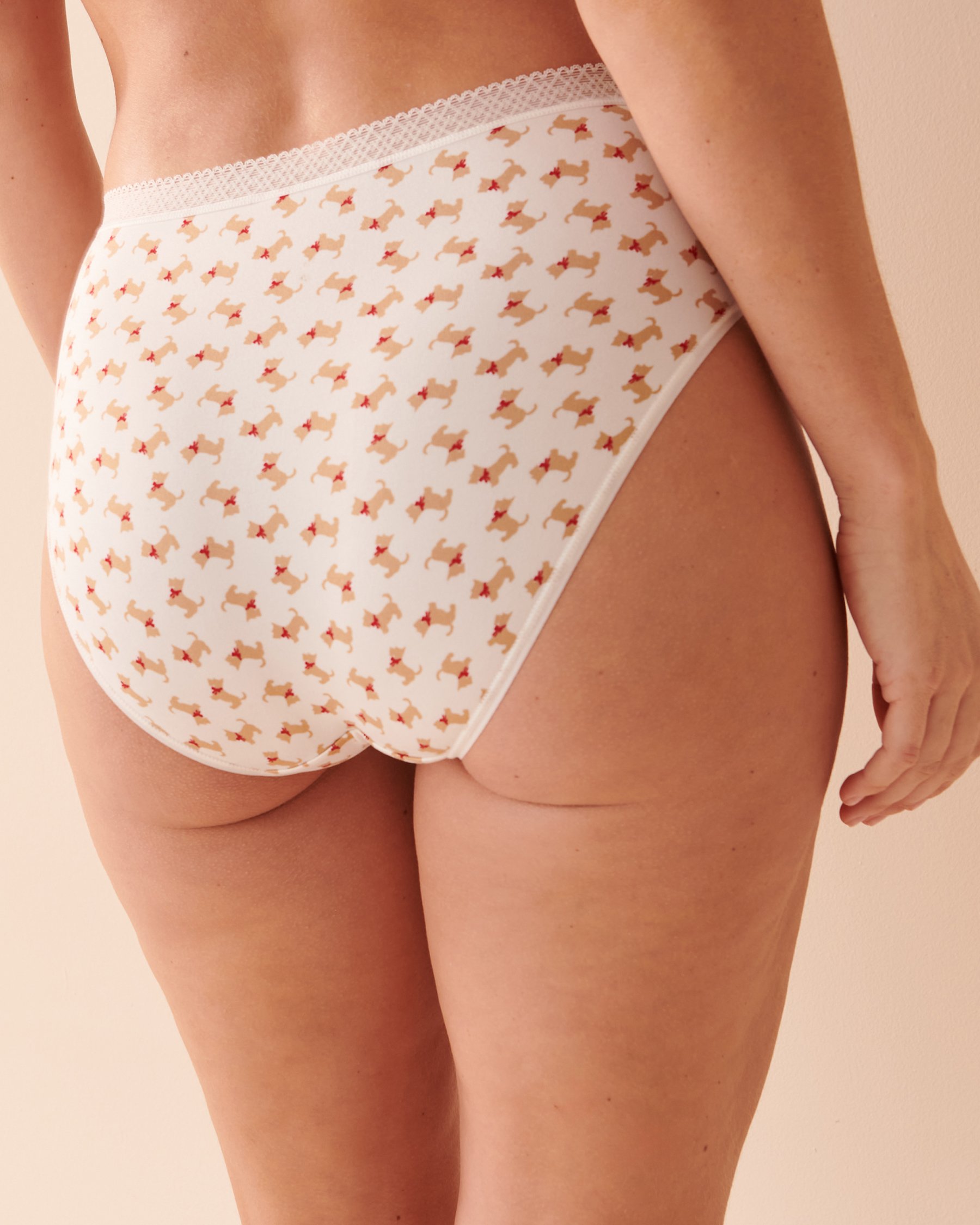 LA VIE EN ROSE Super Soft Lace Detail High Waist Bikini Panty Scottie 20100385 - View2