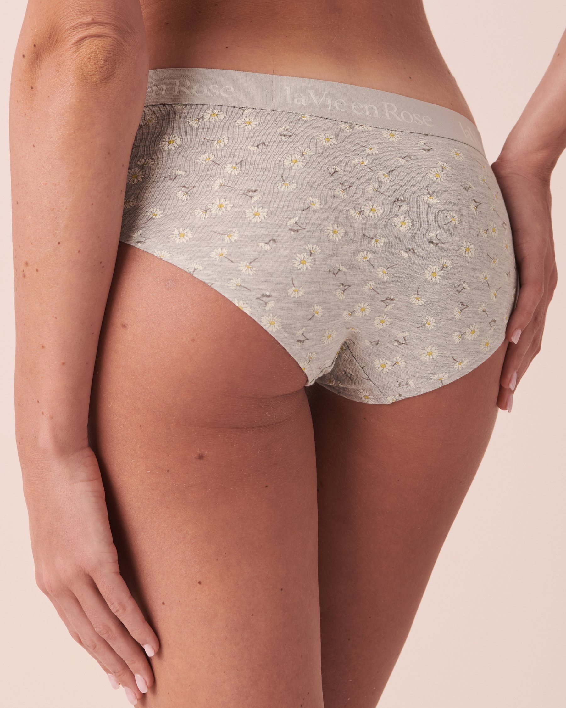LA VIE EN ROSE Cotton and Logo Elastic Band Hiphugger Panty Marguerite 20100306 - View2