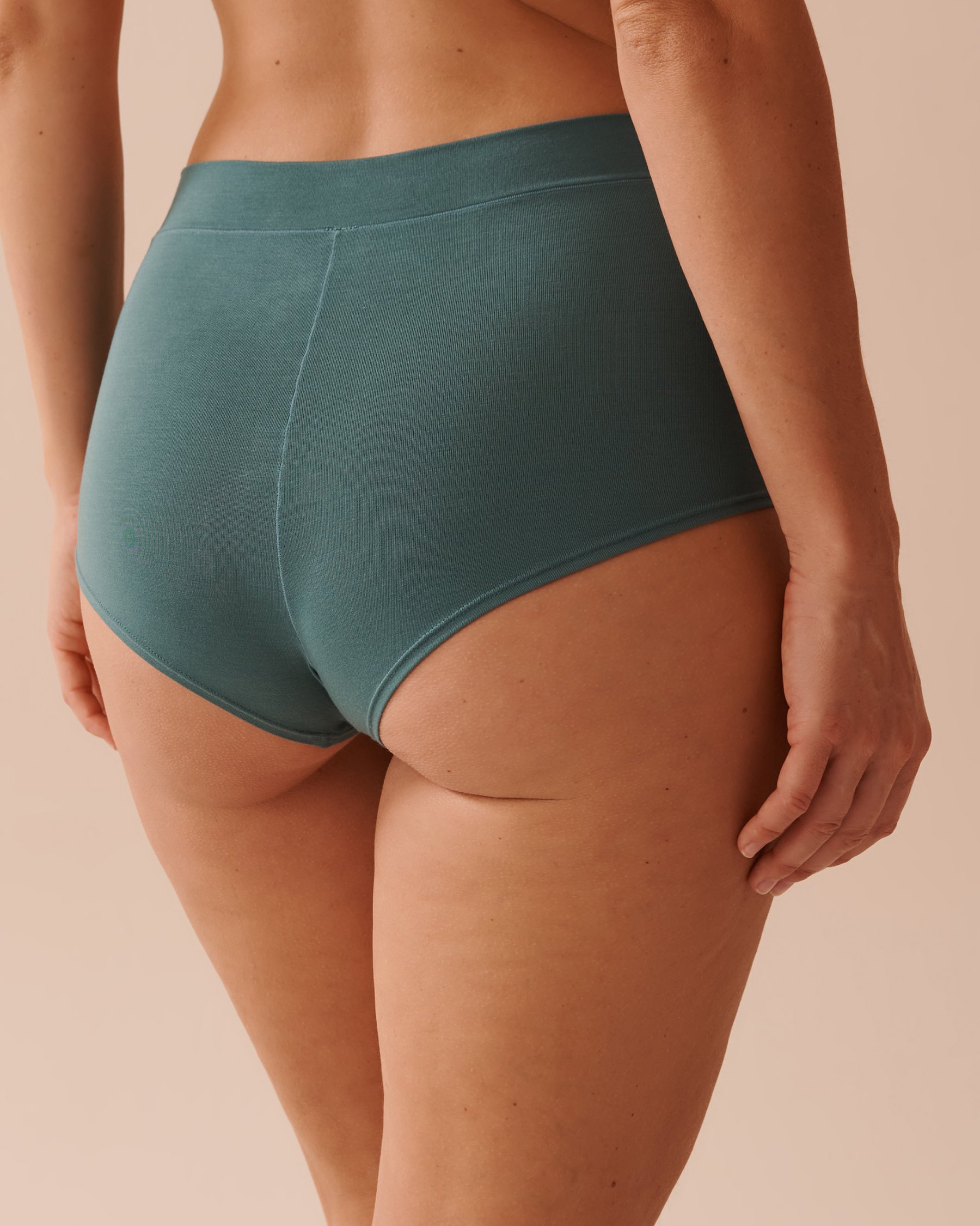 LA VIE EN ROSE Modal High Waist Hiphugger Panty Forest Green 20200550 - View2