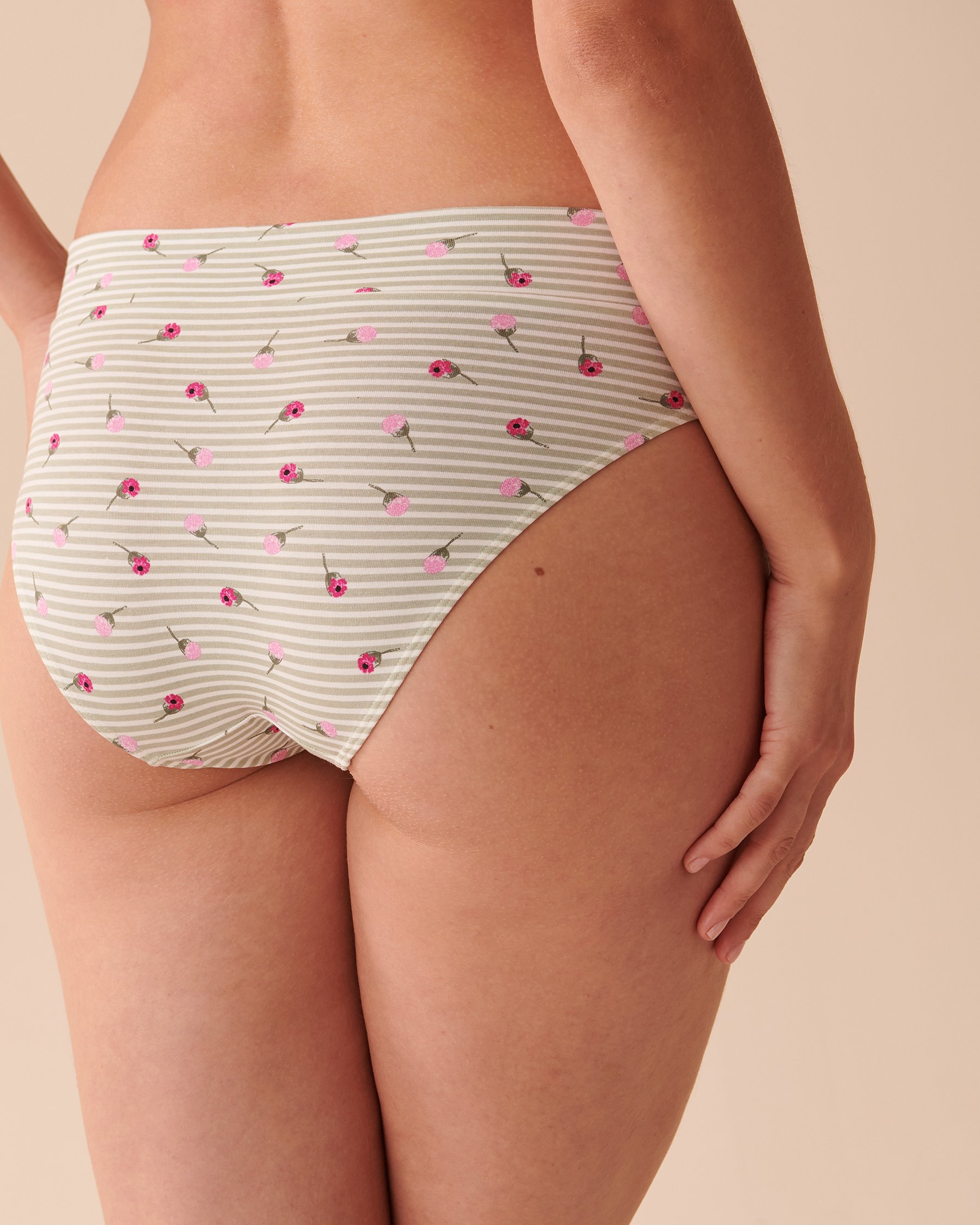 LA VIE EN ROSE Cotton Bikini Panty Striped Roses 20100413 - View2