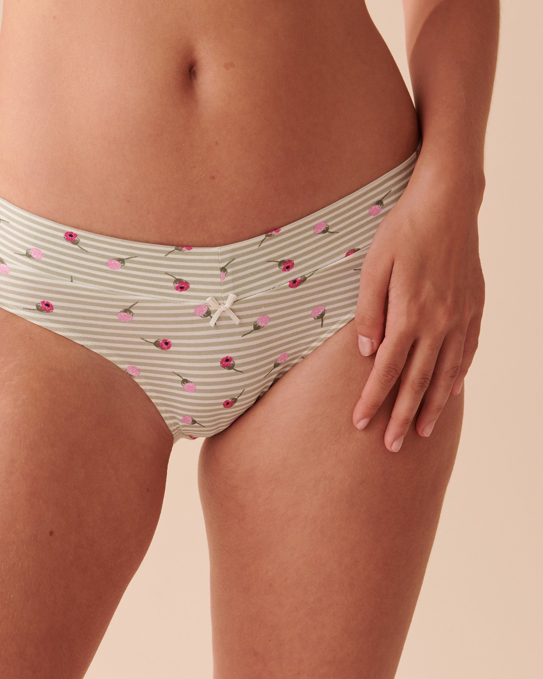 LA VIE EN ROSE Cotton Bikini Panty Striped Roses 20100413 - View1