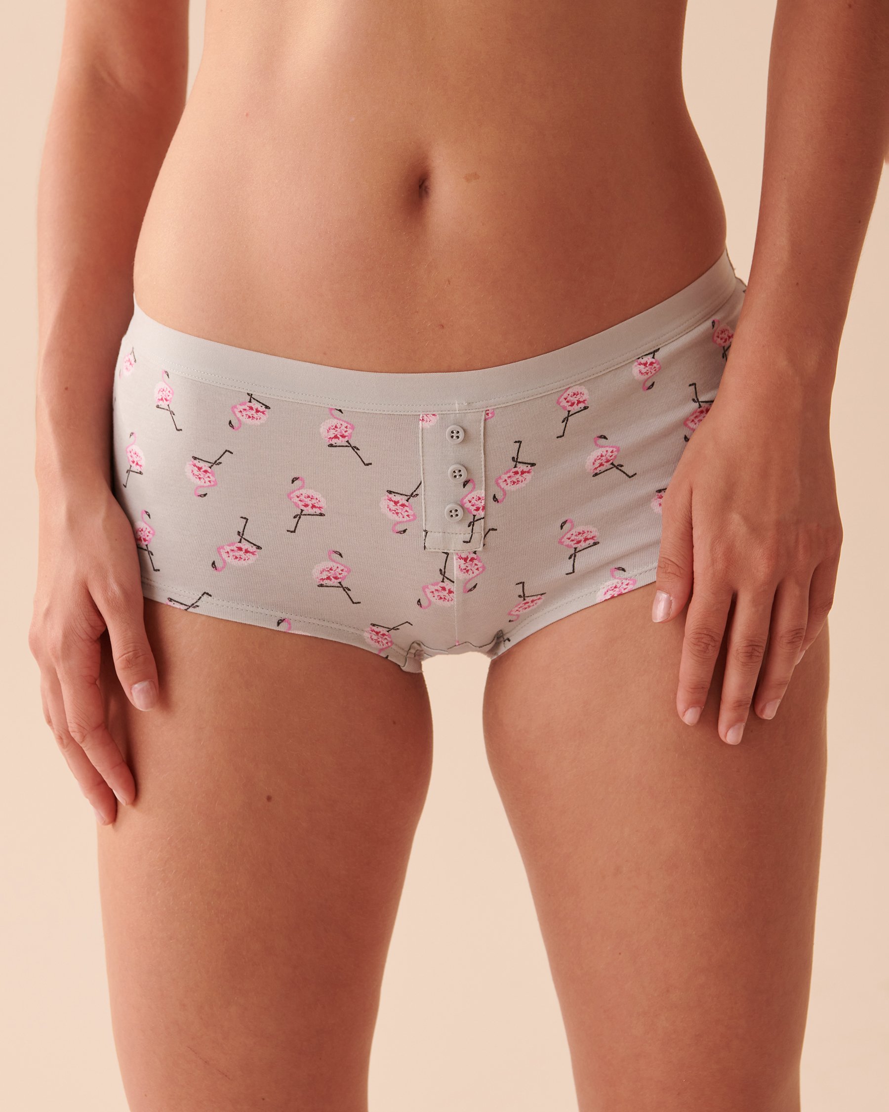 LA VIE EN ROSE Cotton Boyleg Panty Pink Flamingos 20100410 - View1