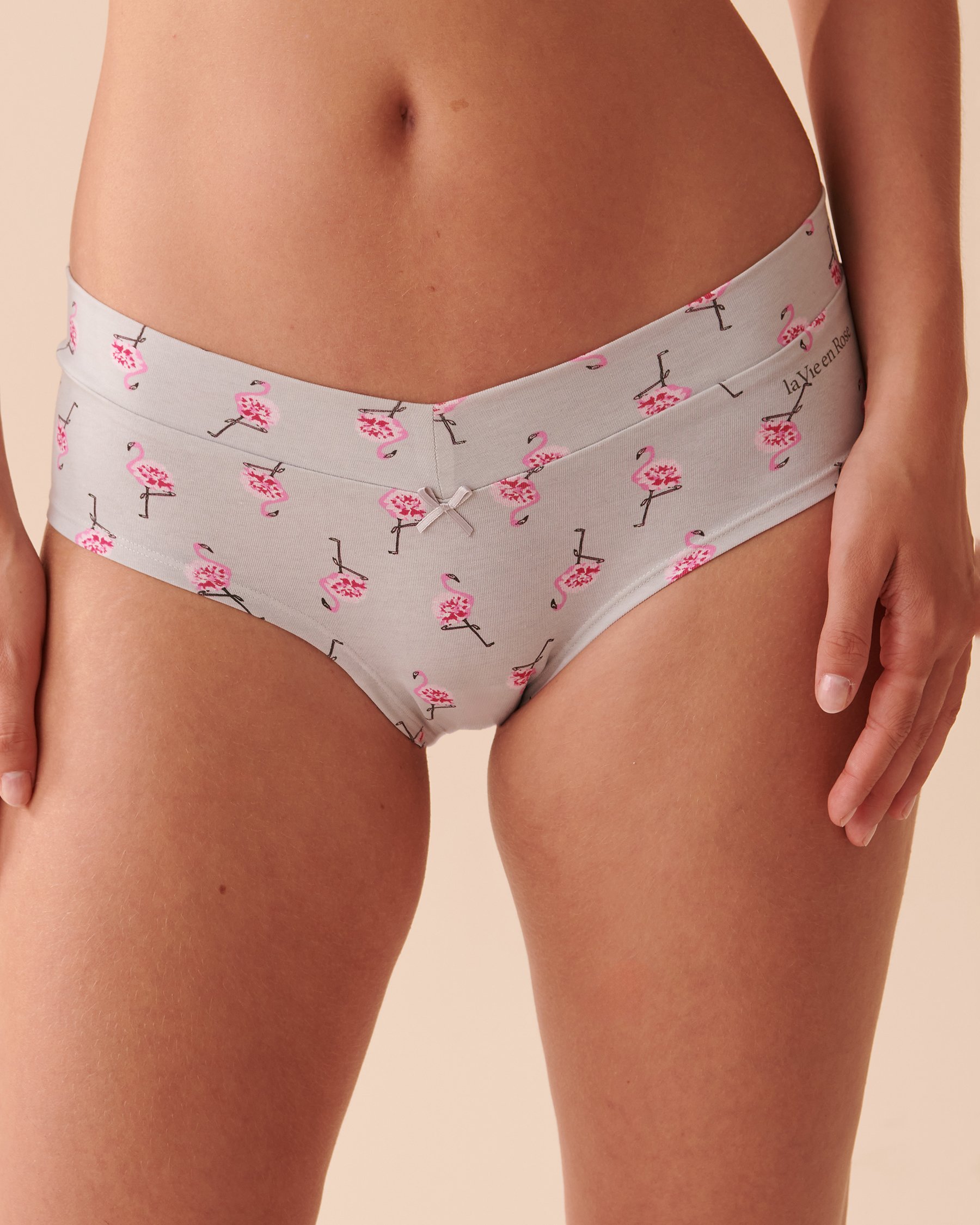LA VIE EN ROSE Cotton Hiphugger Panty Pink Flamingos 20100414 - View1