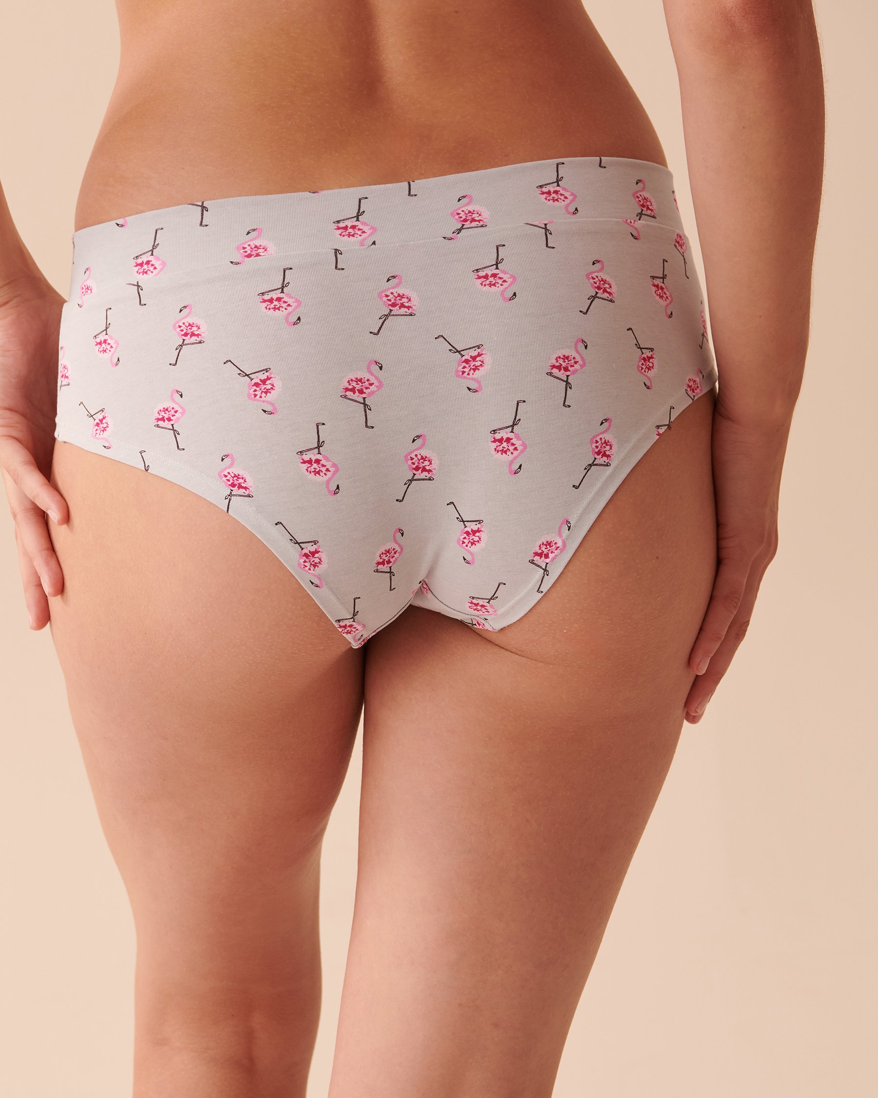 LA VIE EN ROSE Cotton Hiphugger Panty Pink Flamingos 20100414 - View2