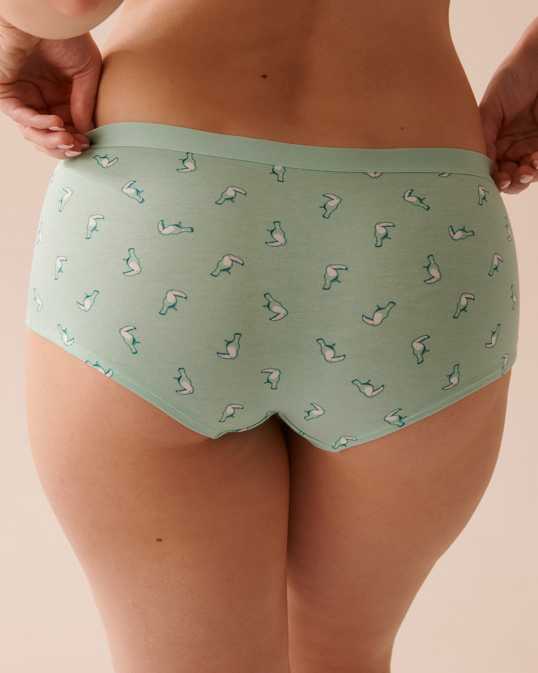 LA VIE EN ROSE Cotton Boyleg Panty Ditsy Toucan 20100451 - View2