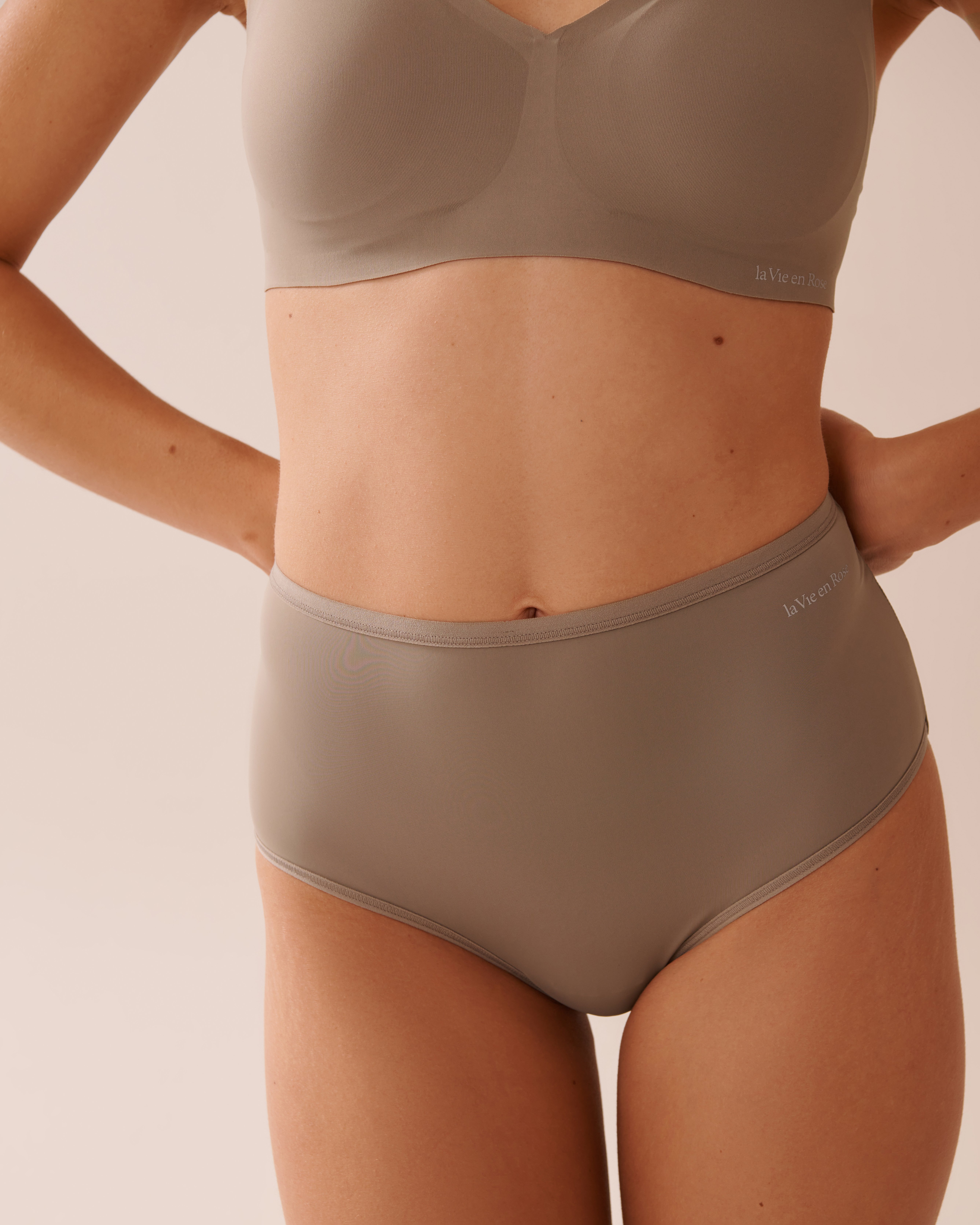 LA VIE EN ROSE Microfiber Sleek Back High Waist Bikini Panty Brown 20300412 - View1