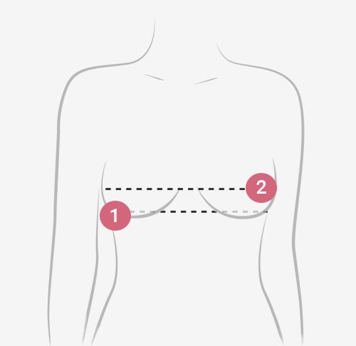 Bra Size Guide: How to measure bra size