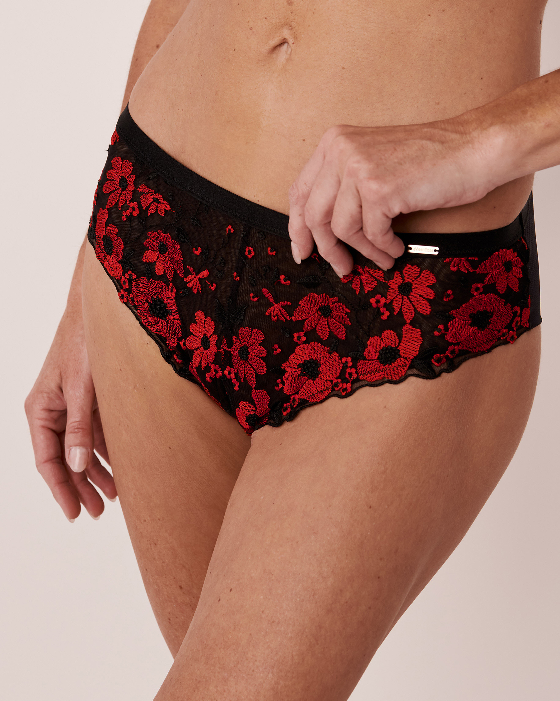 LA VIE EN ROSE Embroidered Mesh Cheeky Panty Flower embroidery 20300164 - View1