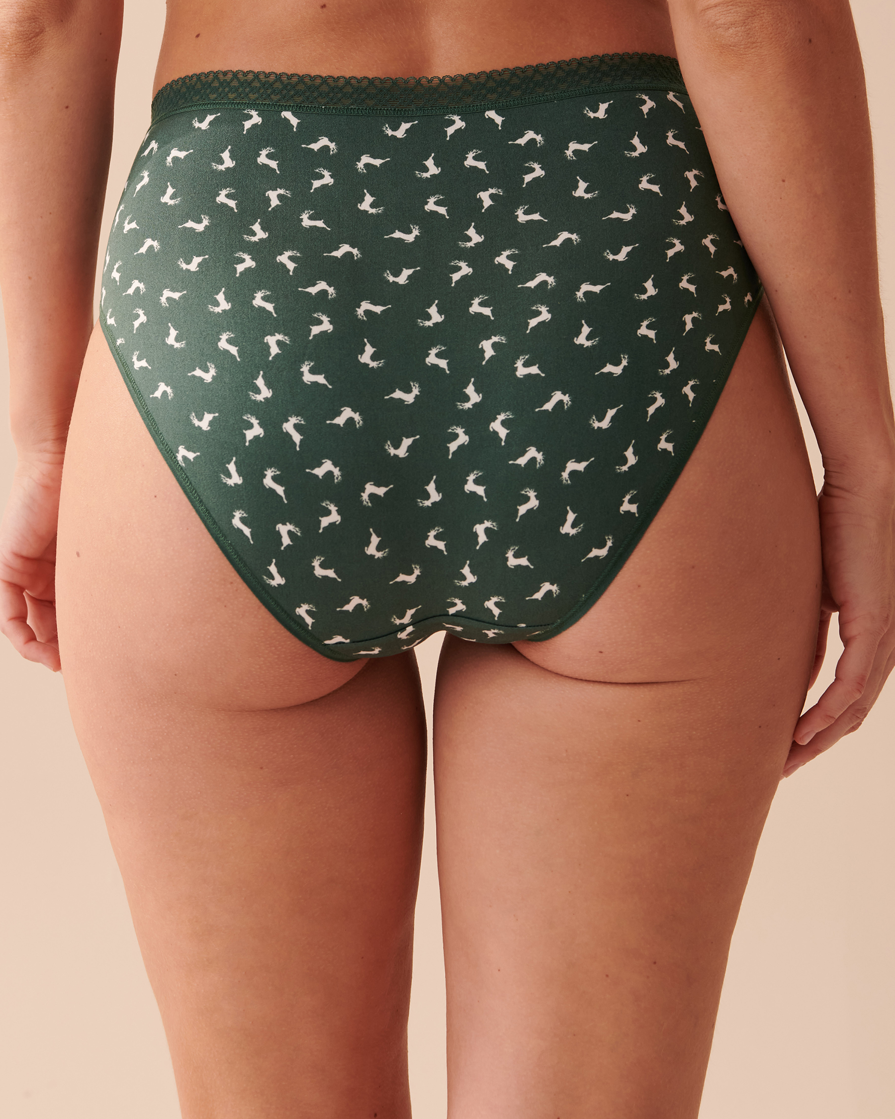 LA VIE EN ROSE Culotte bikini taille haute ultra douce détails de dentelle Cerfs verts 20100385 - Voir2