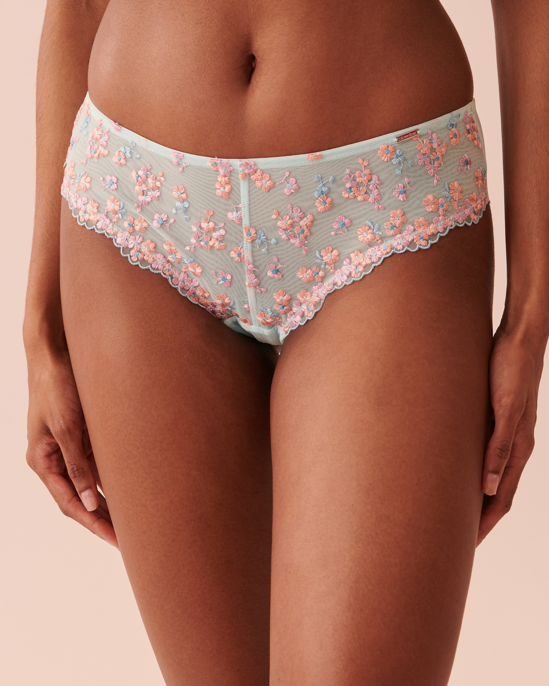LA VIE EN ROSE Embroidered Mesh Cheeky Panty Embroidered flowers 20300214 - View3
